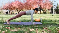 Woman practising shoulder taps in park on grass, planking on yoga mat wearing activewear in the sunshine