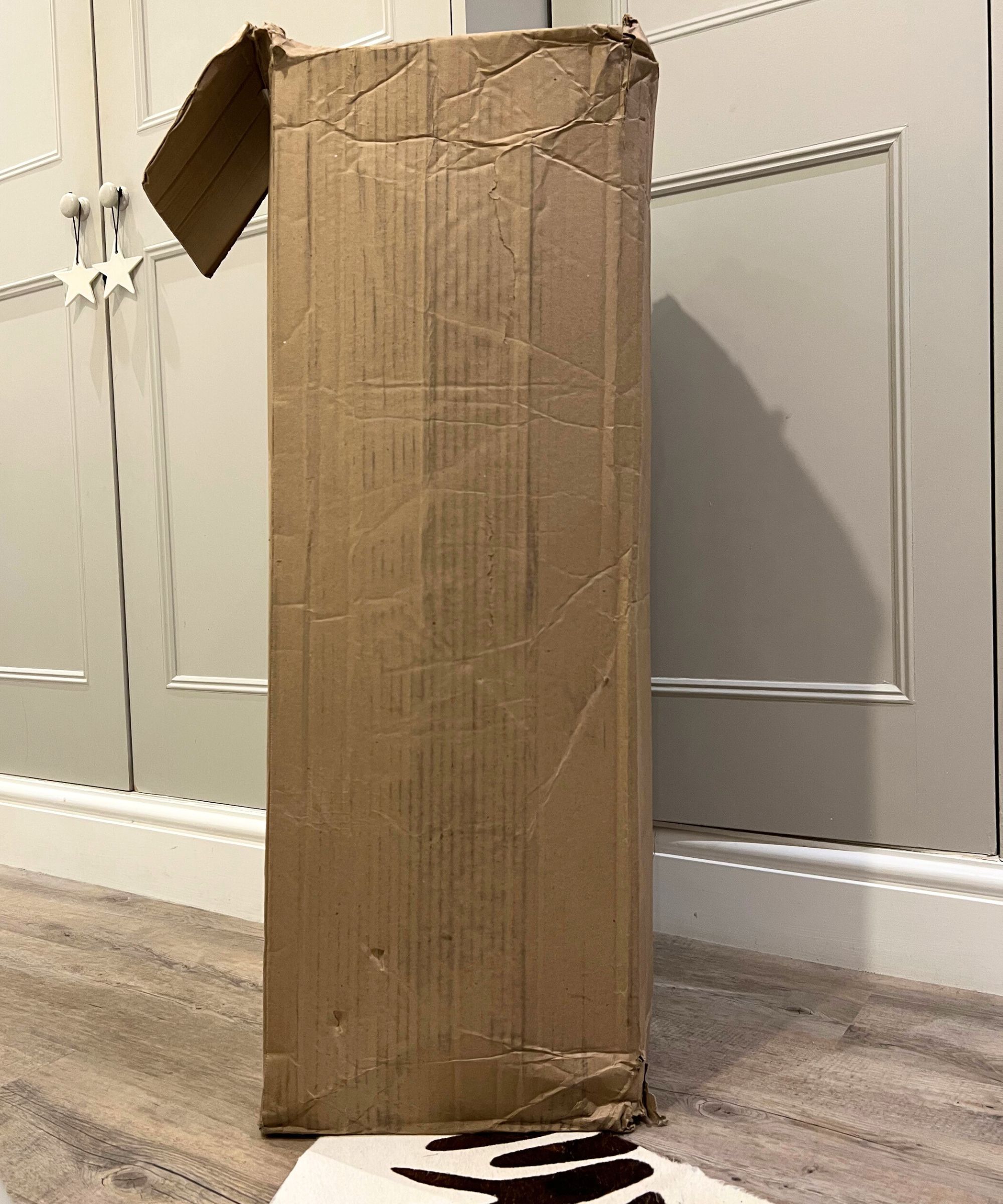 A large cardboard box photographed in front of grey cupboards, with white baseboards, wooden flooring, and the corner of a zebra print rug.