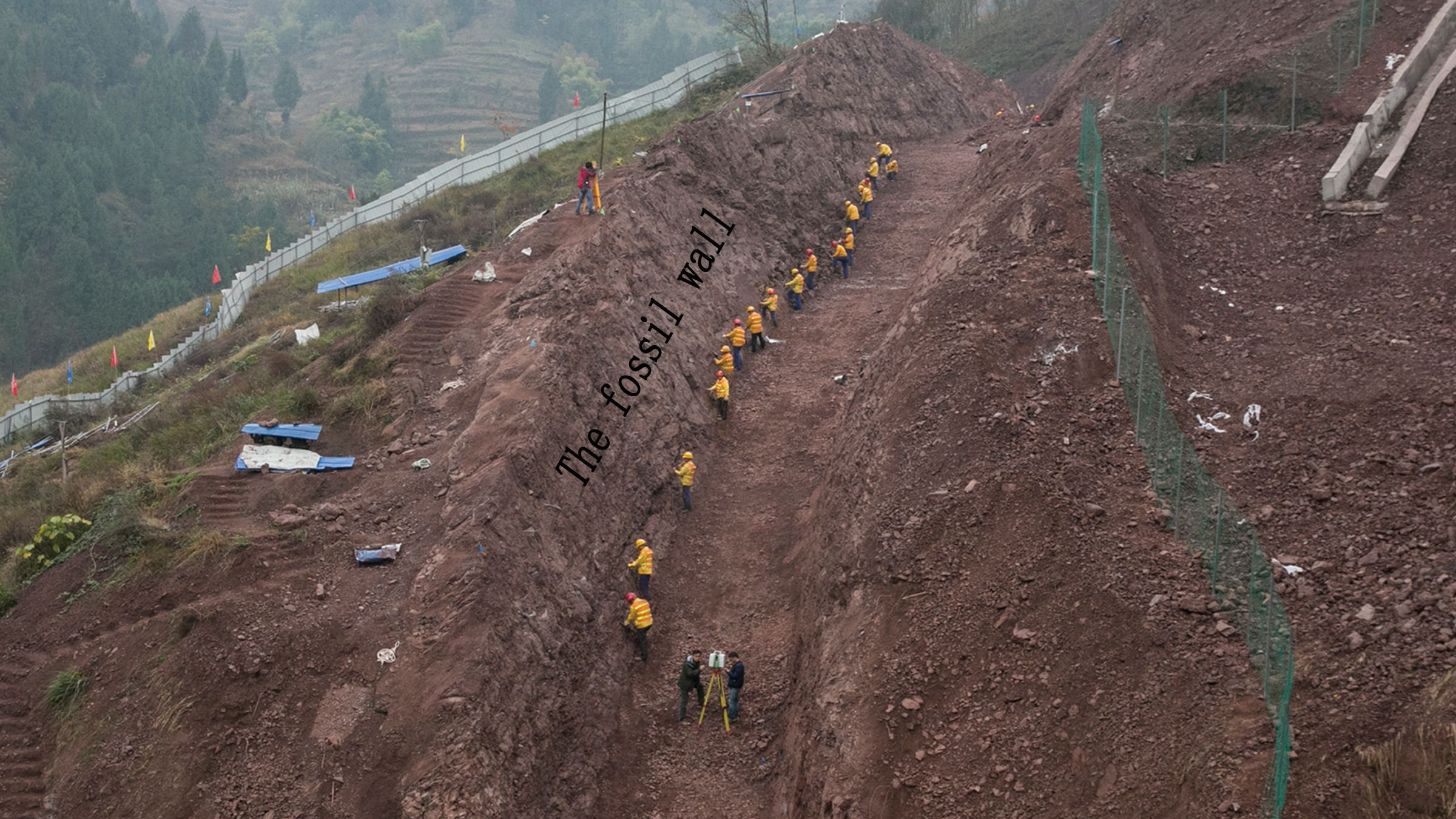Ein Teil der fossilen Wand, die Paläontologen im Dorf Laojun, China, ausgegraben haben.