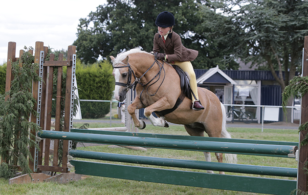 British Showjumping National Championships and Stoneleigh Horse Show CH120 M and M Working Hunter Pony Championship Champion Ruby Ward on Kyregate Peter Pan