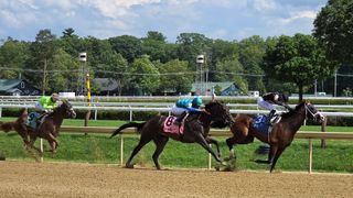 Betting at the Racetrack with AI