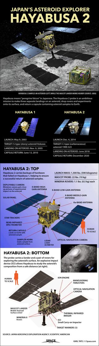 Hayabusa2, the second in Japan's Hayabusa mission series, will drop probes on and take samples from asteroid 1999 JU3. See how the Hayabusa2 asteroid sample-return mission works in this Space.com infographic.