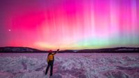 northern lights fill the sky with rich magenta colors and bright pillars of light. a person stands in the foreground of the image and reaches up to the sky with one hand. 