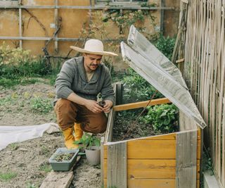 A man crouches next to two cold frames in a garden