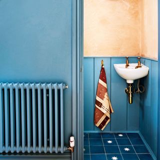 blue cloakroom with painted radiator