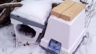 Styrofoam cat house in the snow