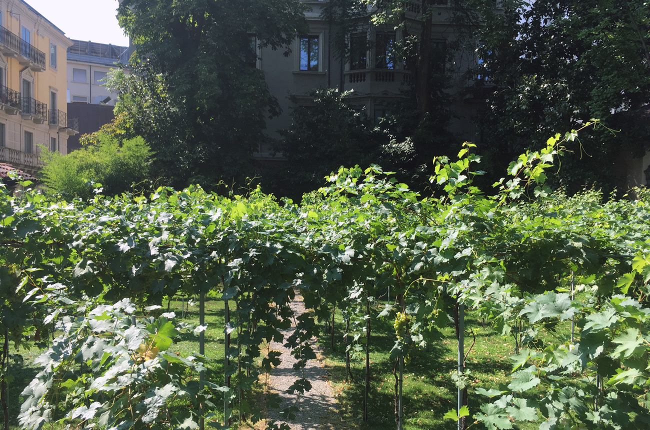 La Vigna di Leonardo Milano