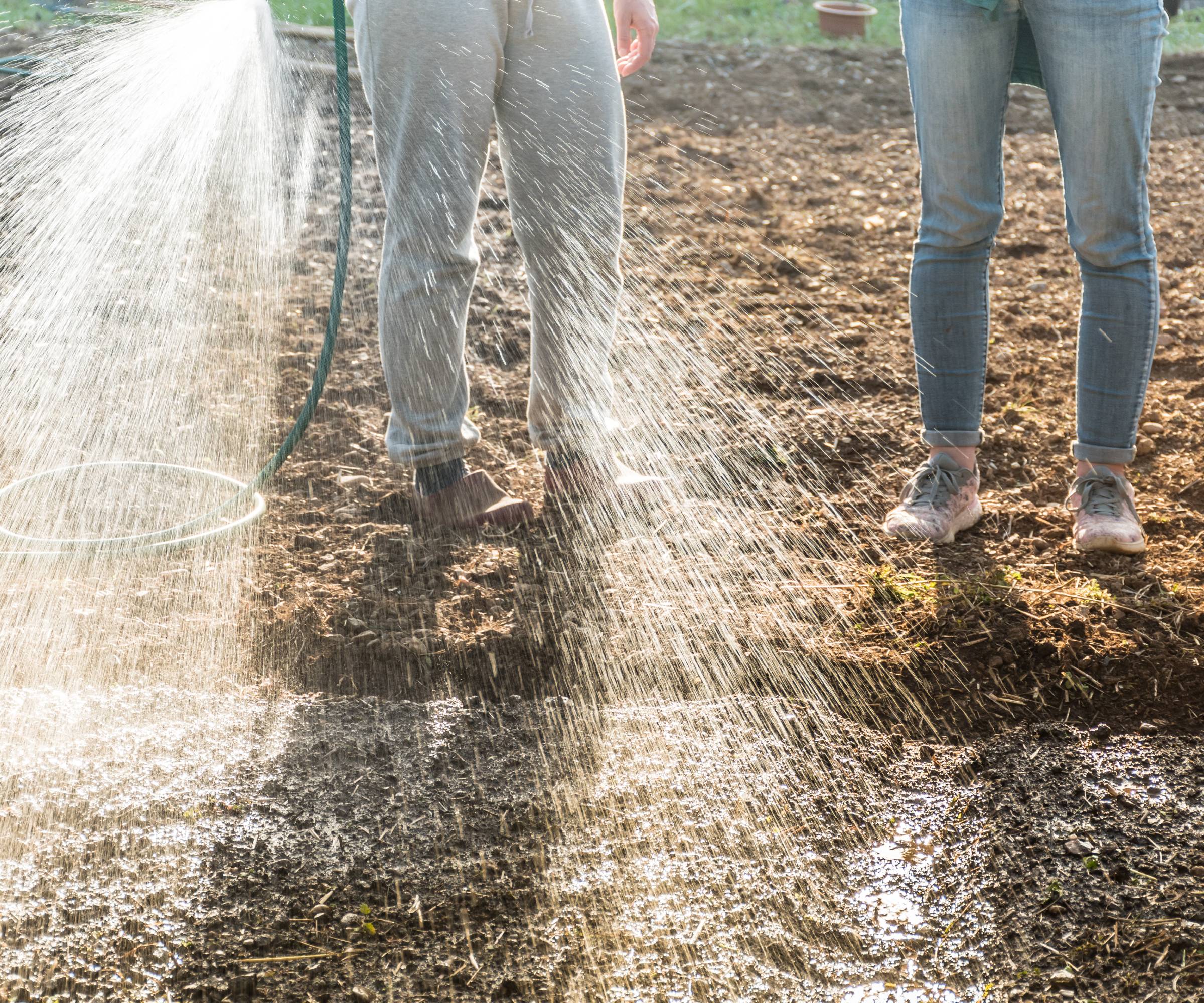 The legs of two people spraying the soil with a hose