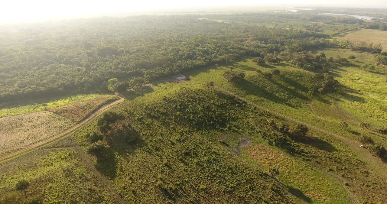 A bird's-eye view of the southwestern part of the Aguada F&eacute;nix Main Plateau.