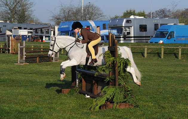 MINI WHP CHAMPION773Blackhill ImogenRuby Ward