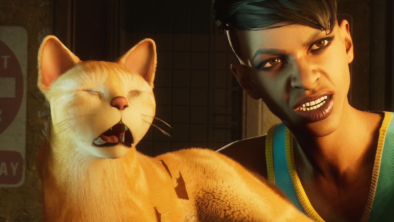 You cannot pet the cat.