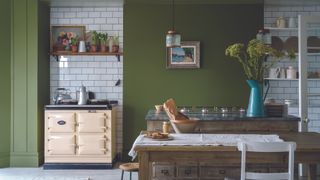 Green kitchen Bancha paint