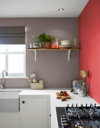 modern kitchen with grey and warm red walls, white countertop, open shelving, blind, butler sink