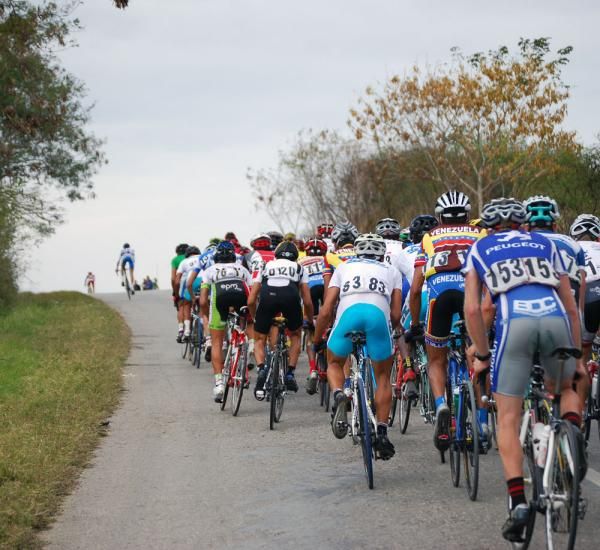 The peloton climbs together during stage 11