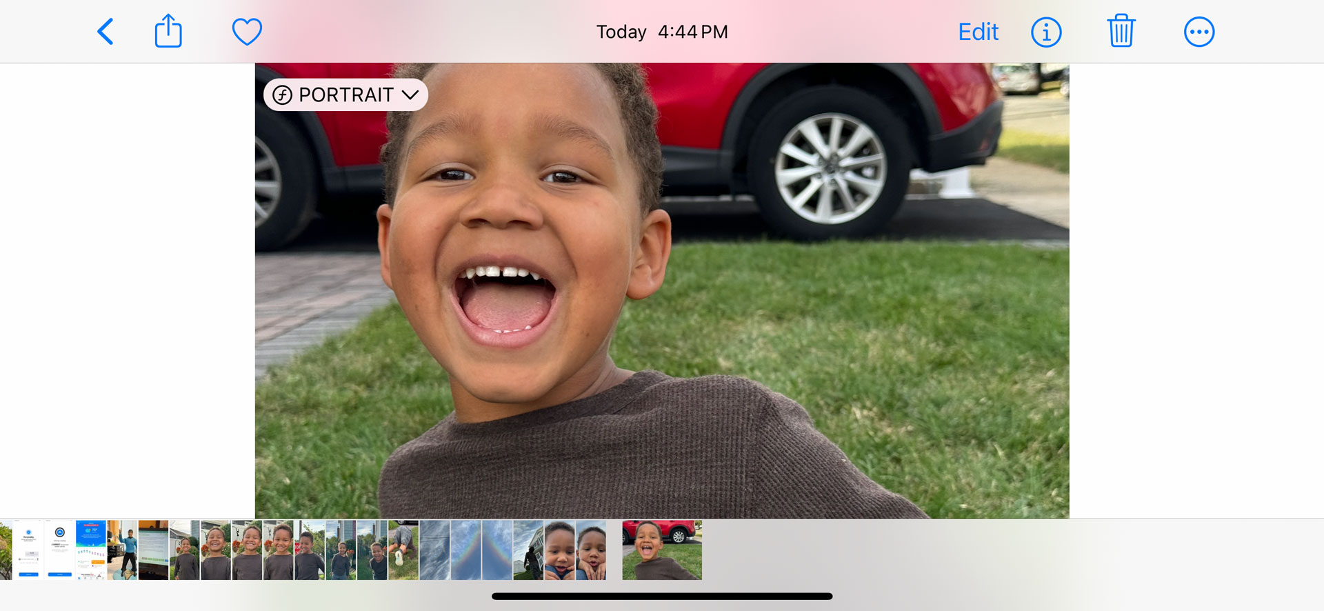 Apple iPhone 15 Pro Max portrait mode controls