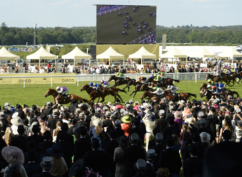 Royal Ascot 2014: Saturday 21 June