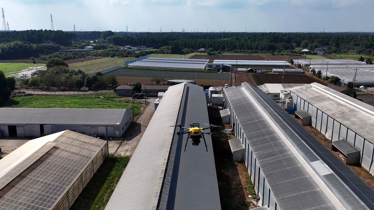 Japanese tech giant deploys laser drones to protect chickens — drones are hoped to prevent the spread of avian flu
