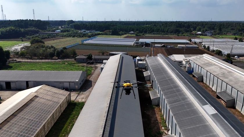 A laser system to scare away wild birds and animals