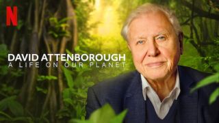 Best documentaries on Netflix - David Attenborough: A Life on Our Planet