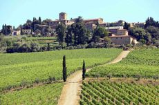 Fontodi Flaccianello della Pieve Vertical