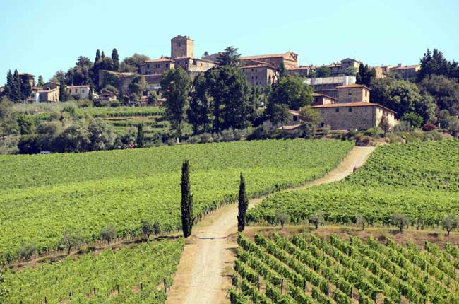 Fontodi Flaccianello della Pieve Vertical