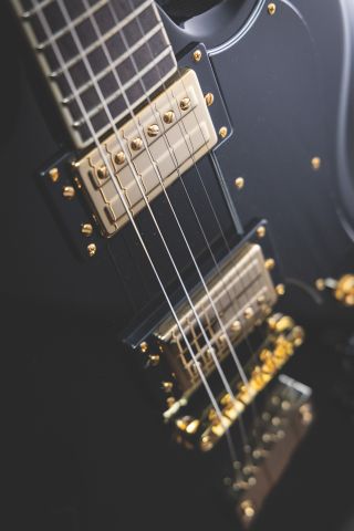 Guild Kim Thayil S-100 Polara Guitar pickups