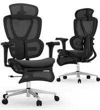 Flexispot Sentinel Ergonomic Office Chair With Dual-Wing Adaptive Lumbar
