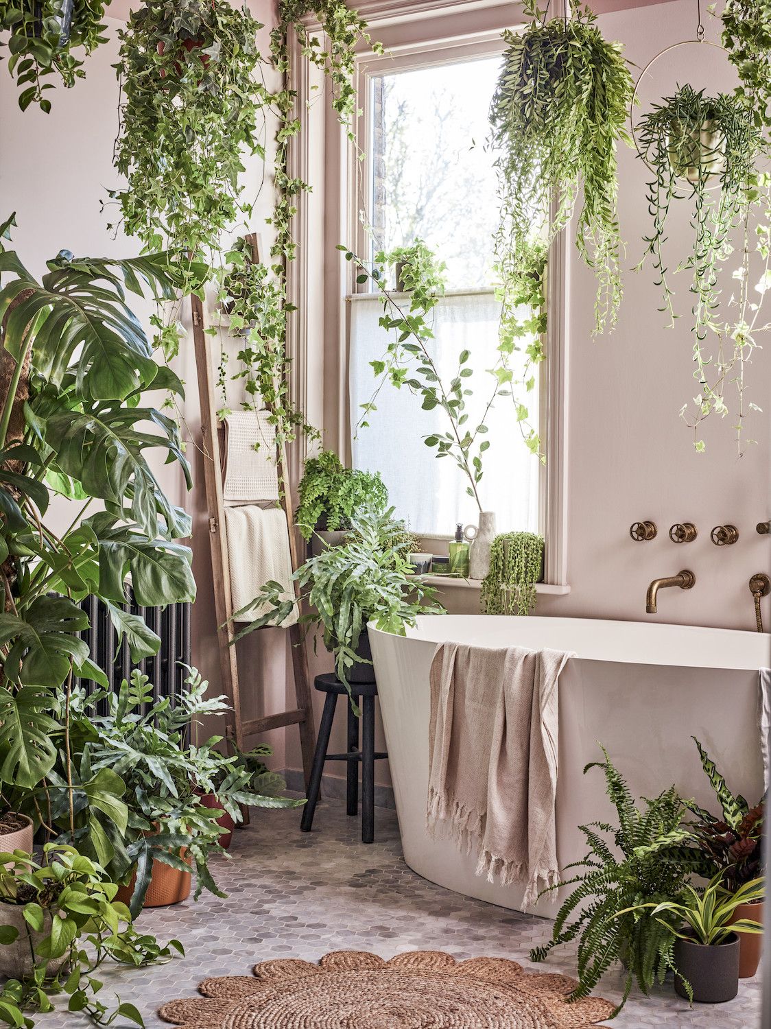 7 Houseplant Trends For 2024 The Plants Pots And Placements That   Zt92FejrphKTxHpvpFzSfL 1600 80 