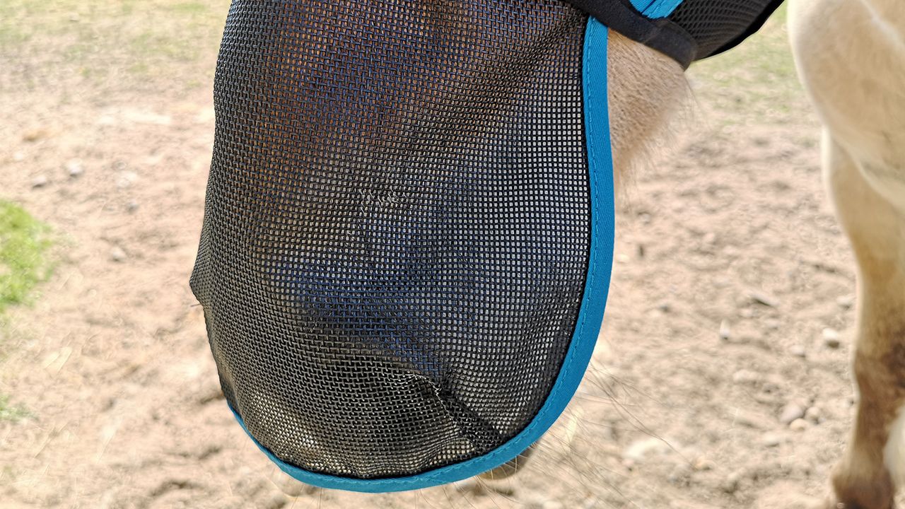Woof Wear UV Fly Mask nose