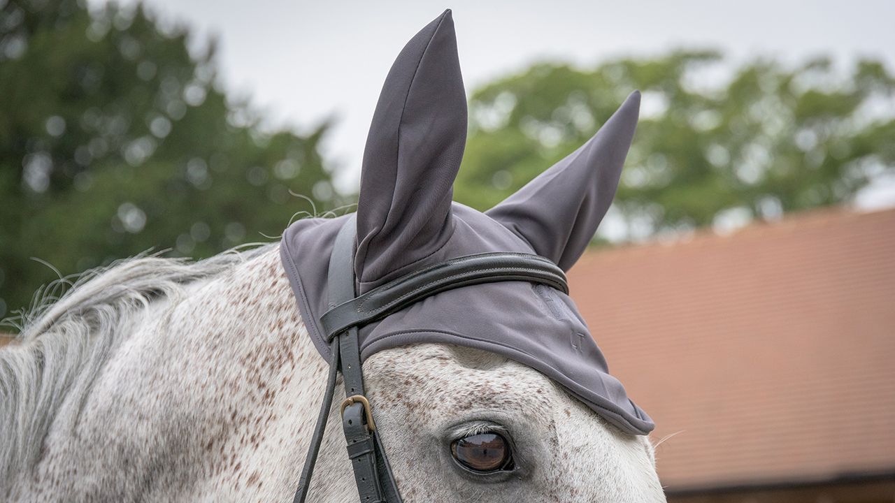 Fenwick Liquid&nbsp;Titanium ear bonnet review