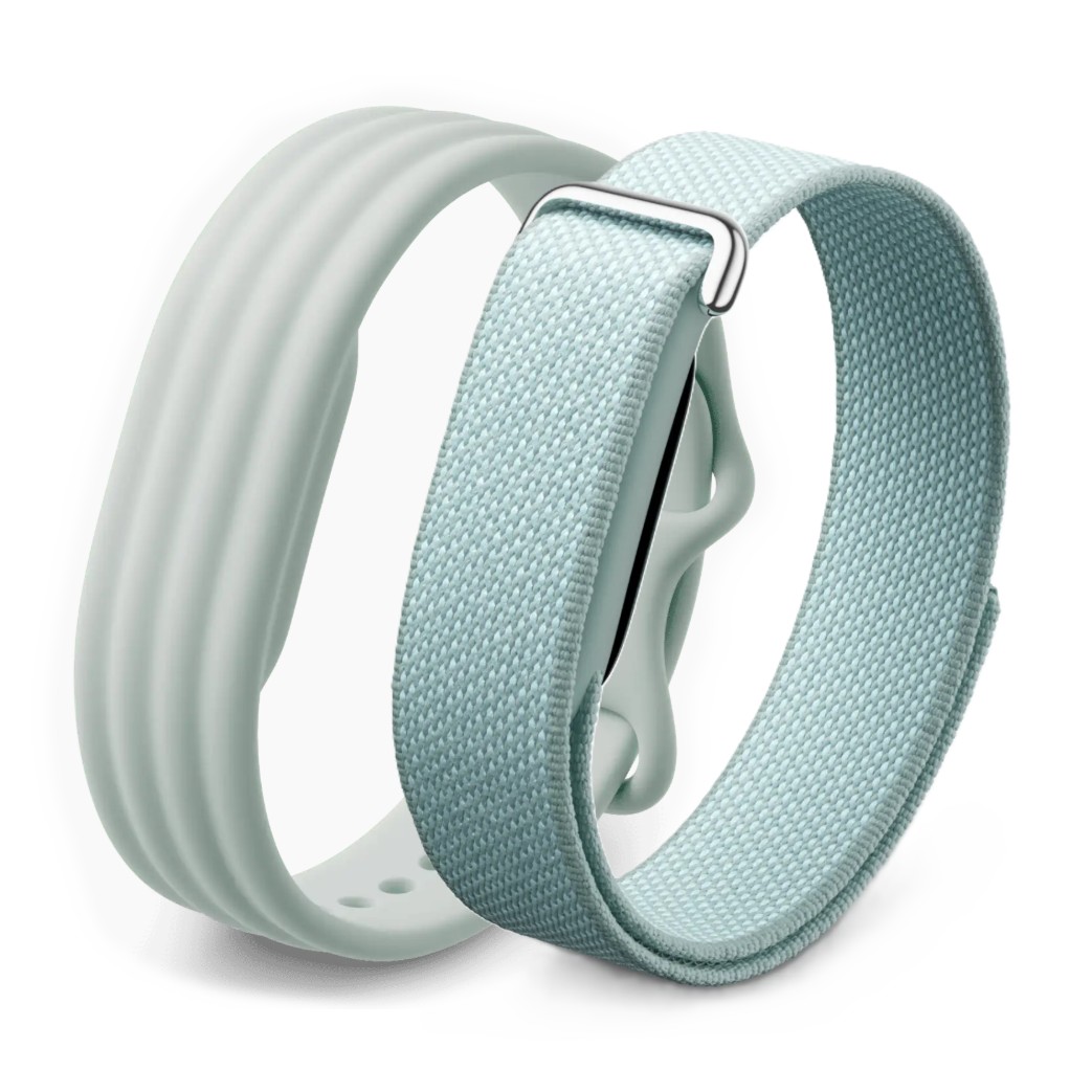 Google Fitbit Air in Fog - Performance Loop Band & active band