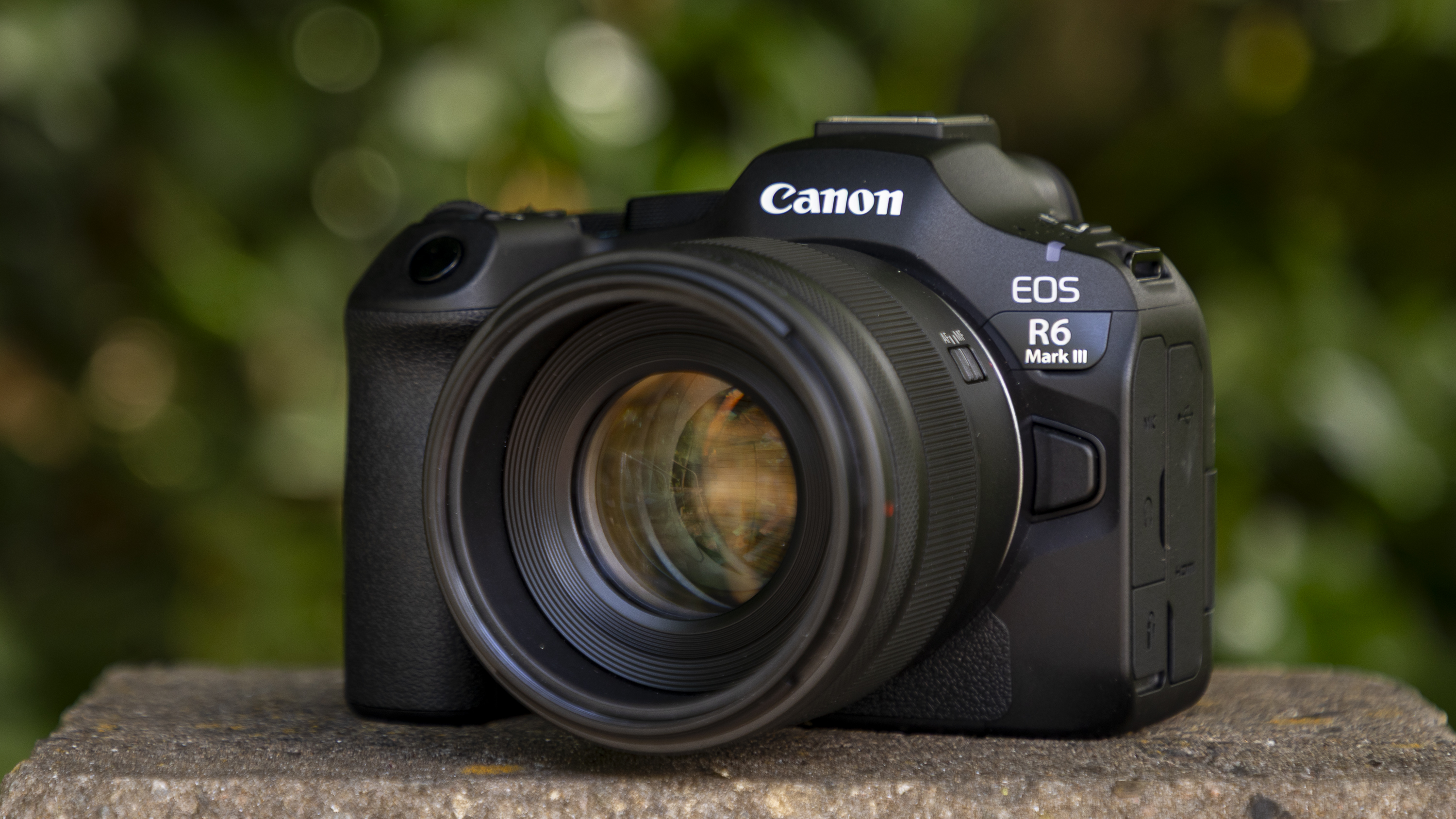 Canon EOS R6 Mark III on a wall with green background
