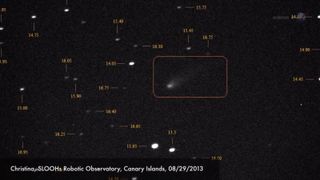 This image of Comet ISON was taken by skywatcher Christina using a remotely operated telescope in the Canary Islands overseen by the Slooh Space Camera.