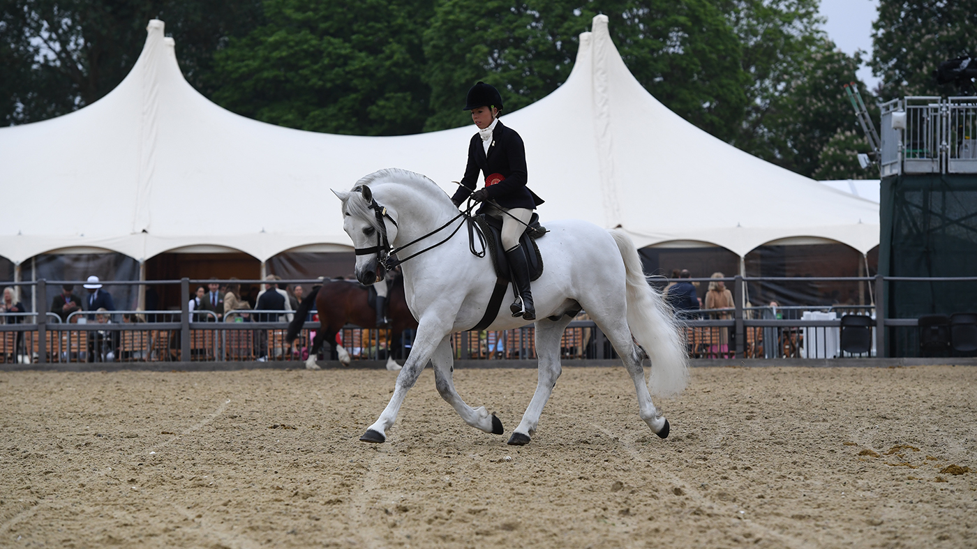 royal windsor m&amp;amp;m ridden champion, Castle Kestrel