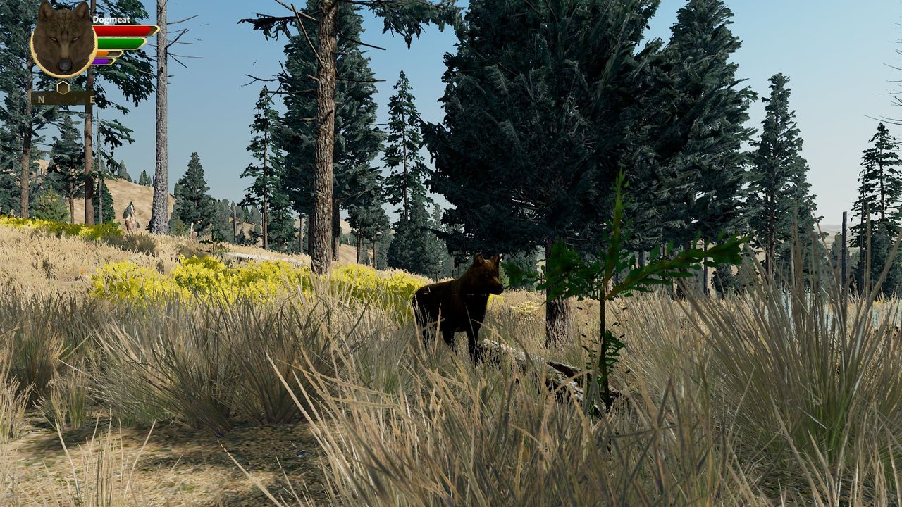 WolfQuest wolf simulation game