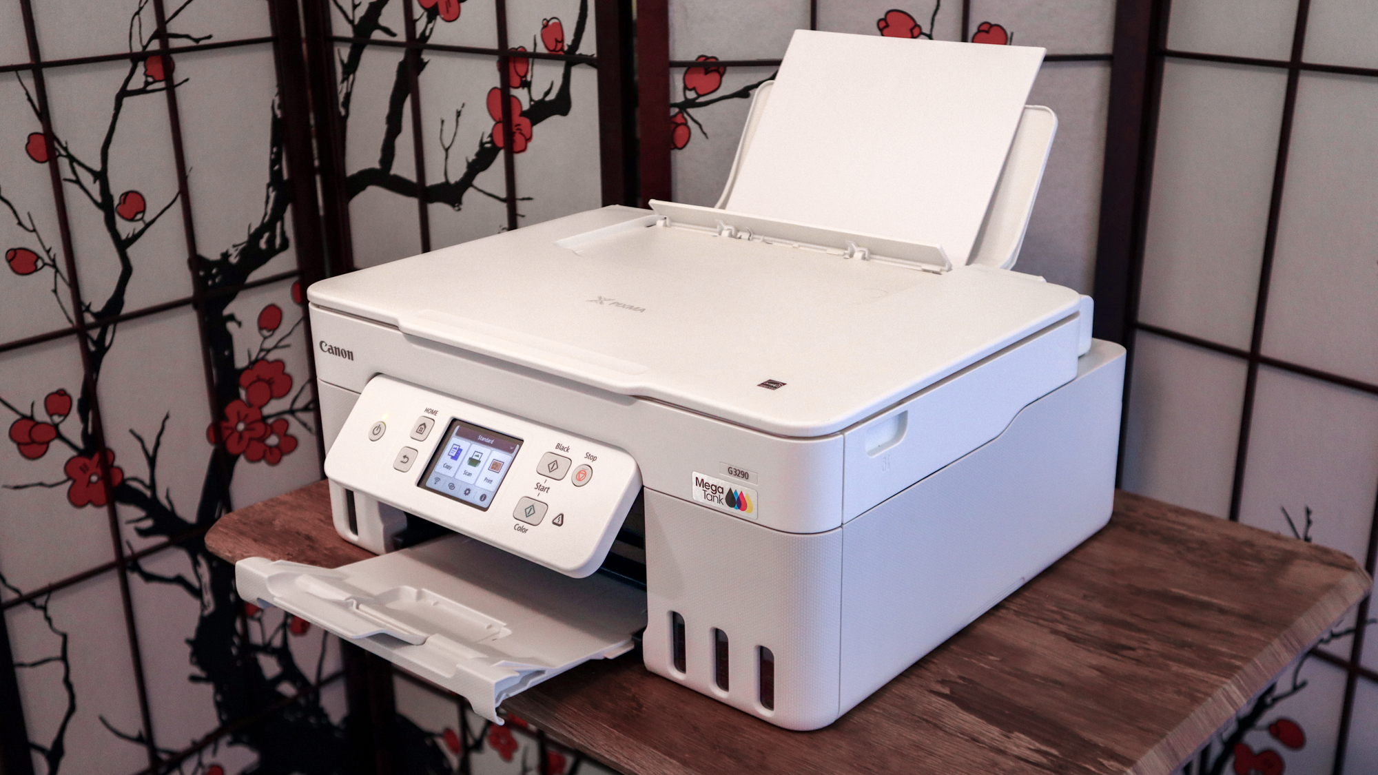 Canon MegaTank Pixma G3290 review unit in action