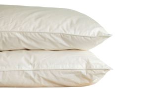 Soak & Sleep New Zealand Wool pillow