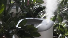 Humidifier surrounded by plants and leaves