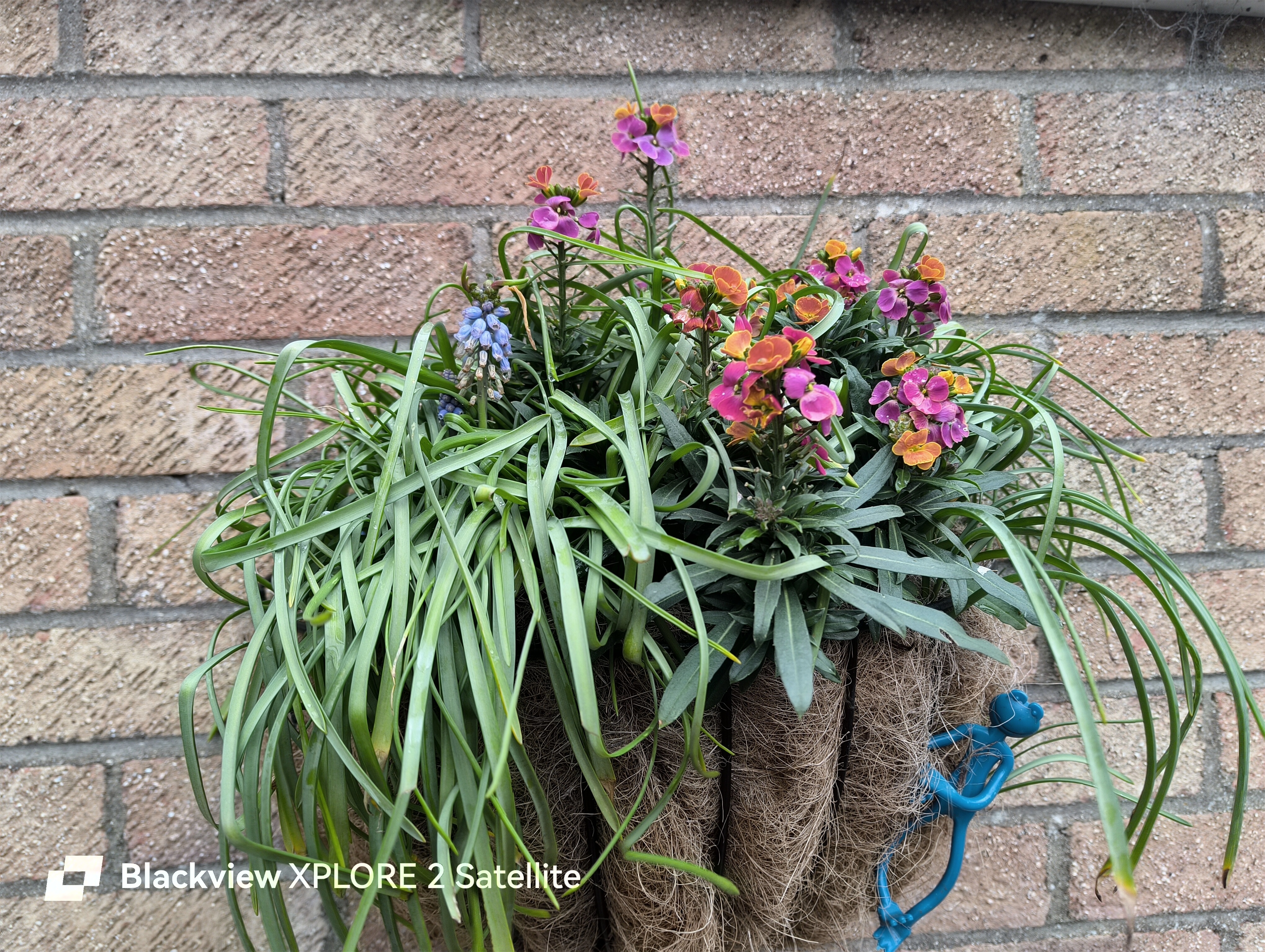 Blackview Xplore 2 Satellite photo examples