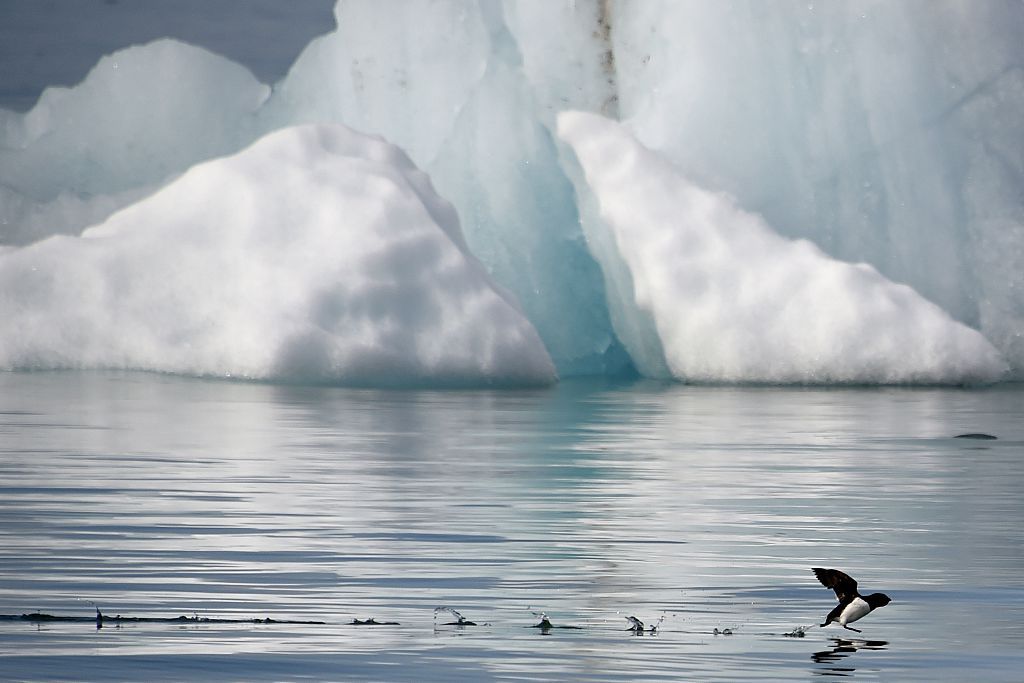 Arctic sea ice is melting faster than we thought.