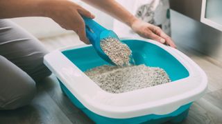 Woman cleaning out cat litter box