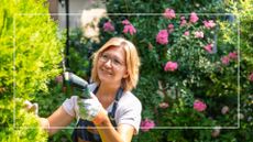 mature woman trimming a hedge