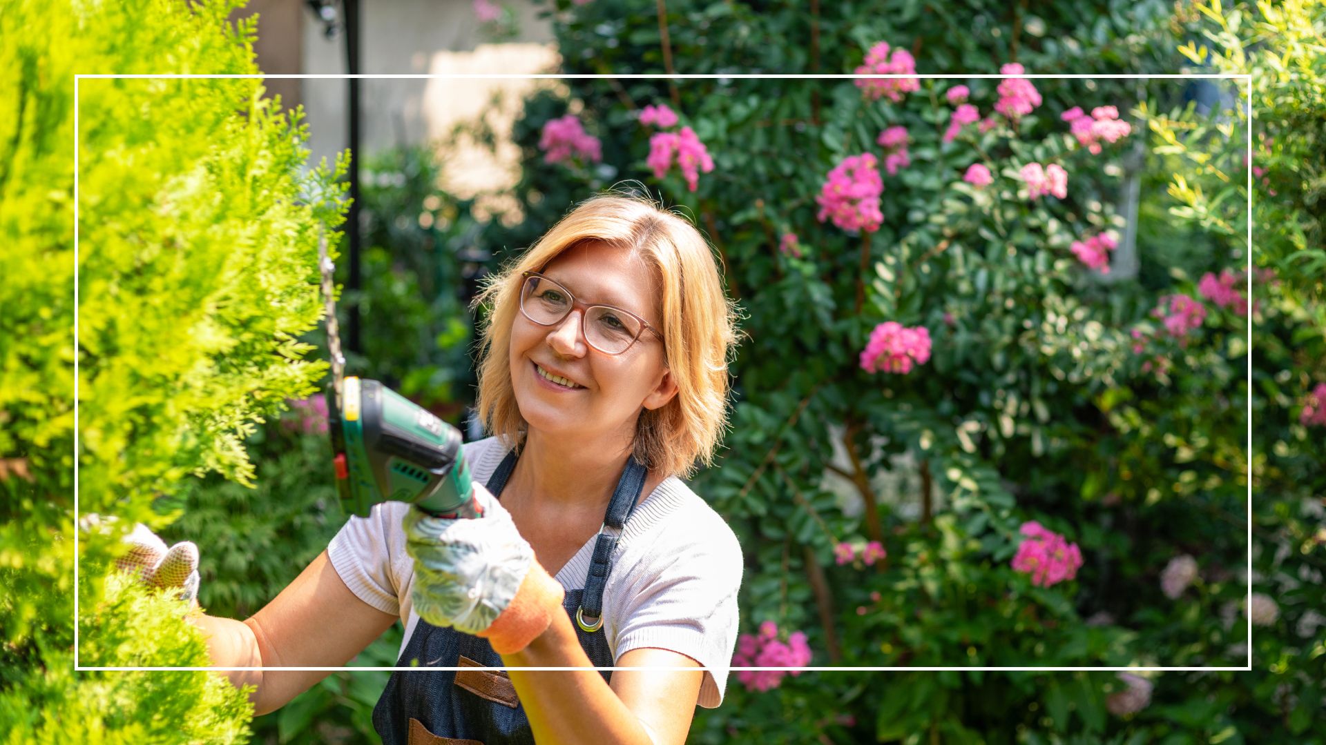 mature woman trimming a hedge