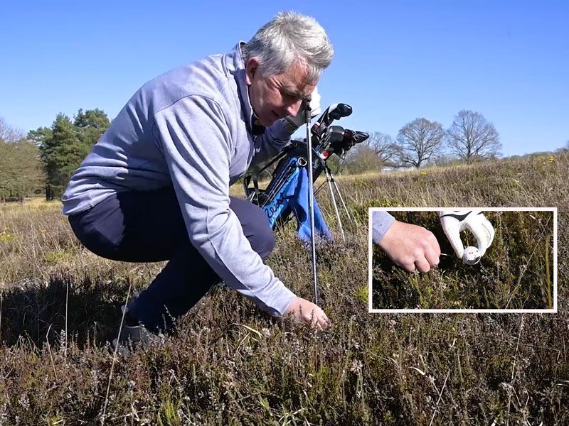 Rules of Golf Identifying Your Ball Golf Monthly