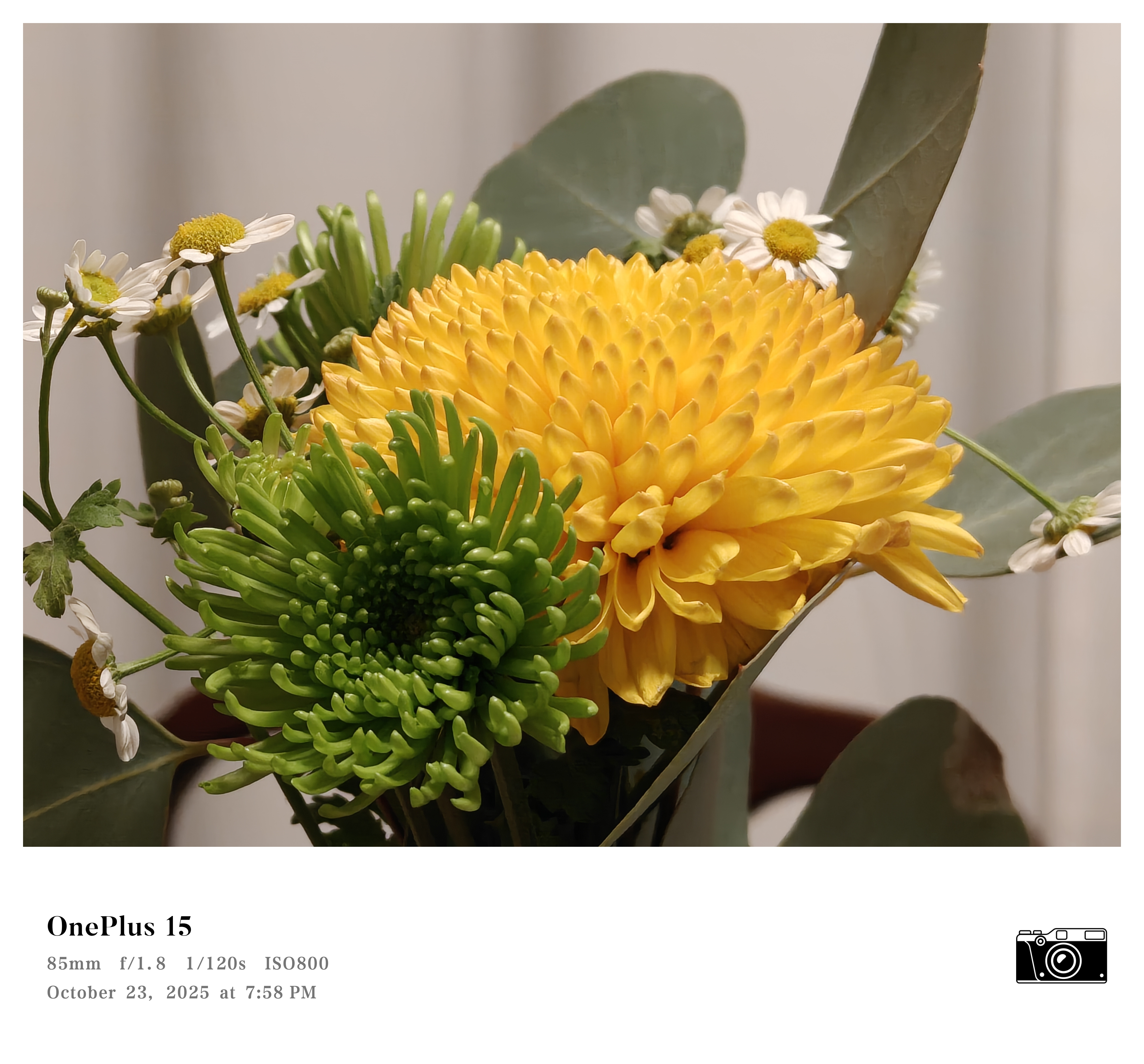 A photo of a wildflower bouquet, captured with a OnePlus 15
