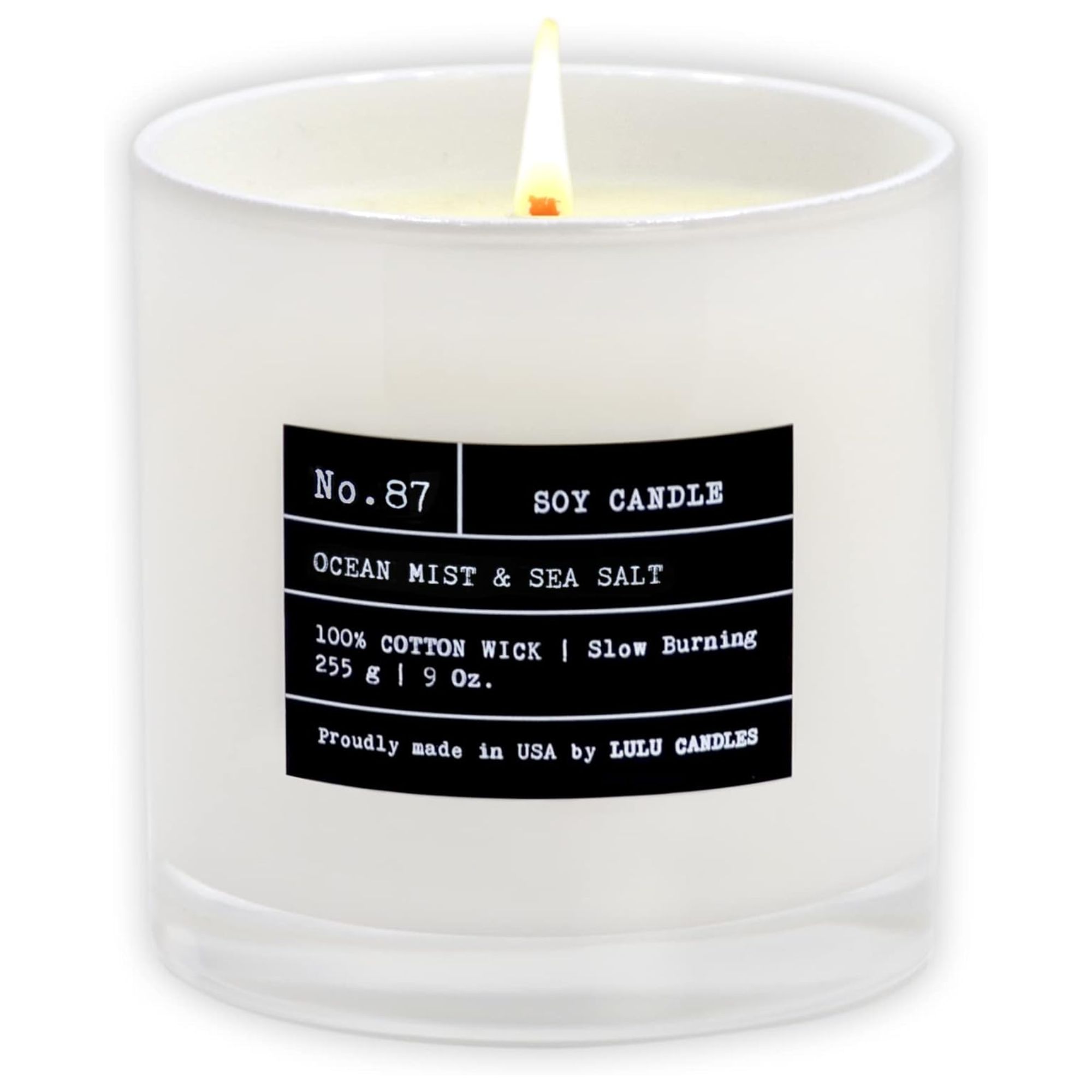 Ocean mist & sea salt scented candle
