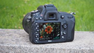 Nikon D610 on a garden wall, seen from rear