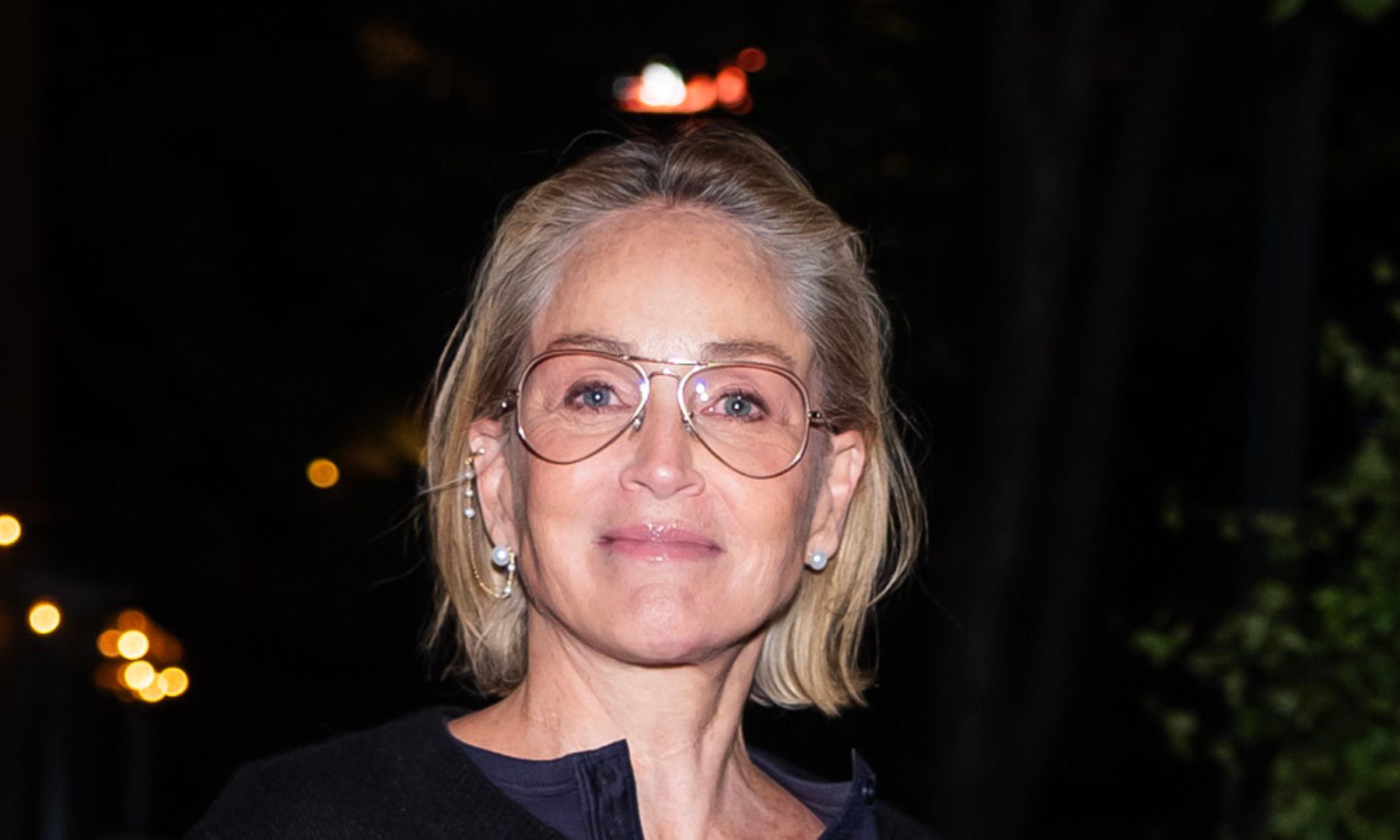 Image of Sharon Stone