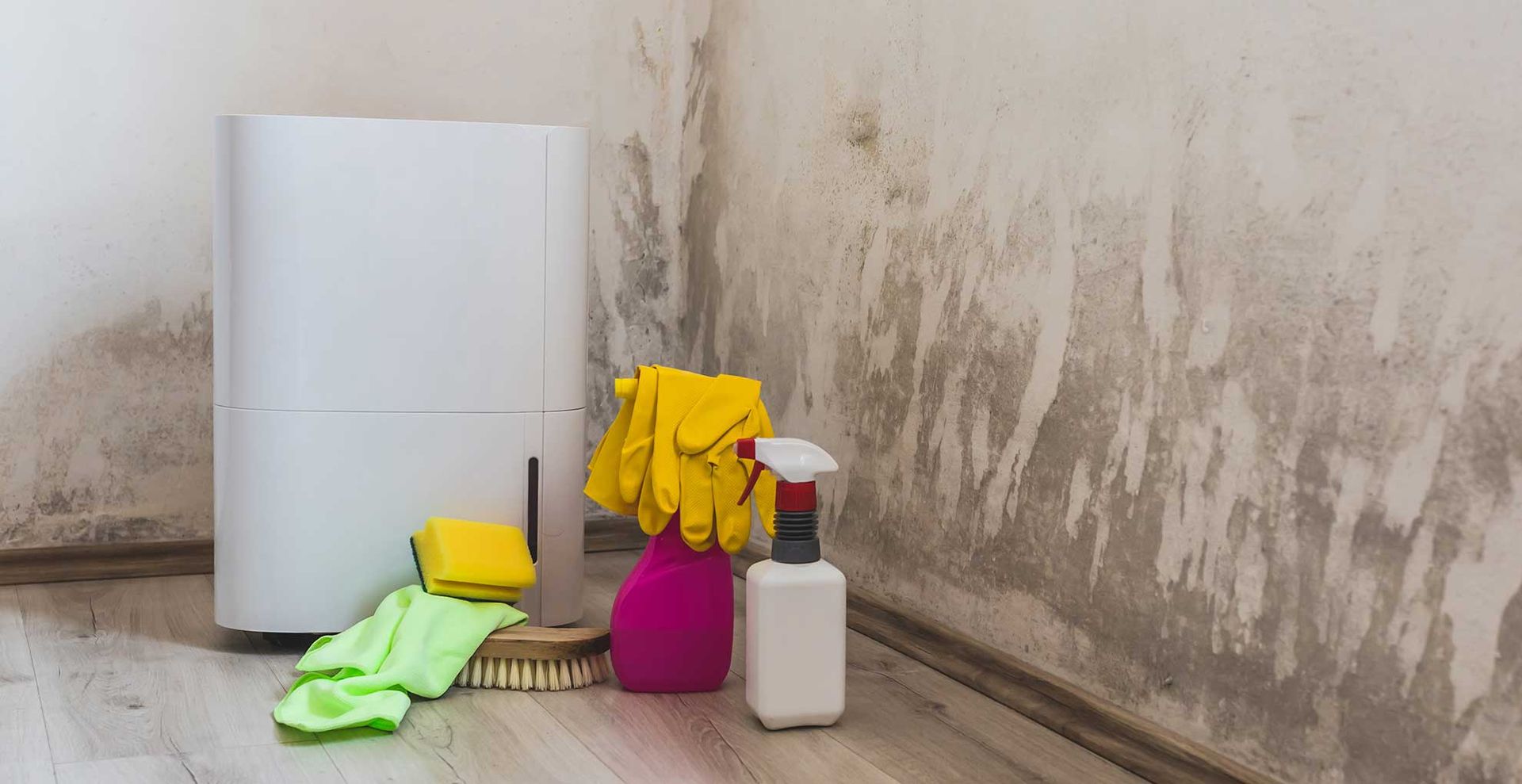 Corner of a room wit mould on the walls with a dehumidifier next to various cleaning products to beat the mould