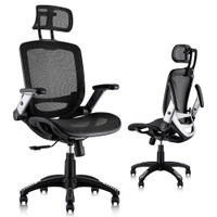 Gabrylly Ergonomic Mesh Office Chair: $330 Now $220
Save $110 with coupon
